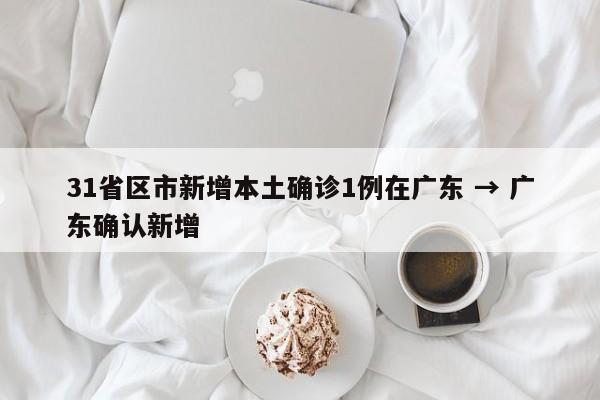 31省区市新增本土确诊1例在广东 → 广东确认新增