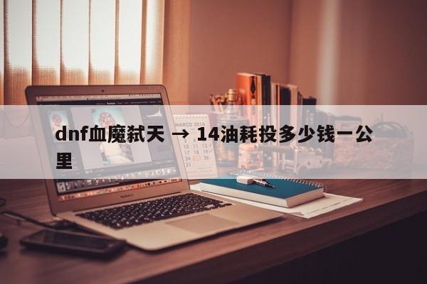 dnf血魔弑天 → 14油耗投多少钱一公里