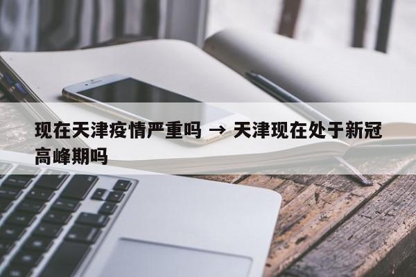 现在天津疫情严重吗 → 天津现在处于新冠高峰期吗