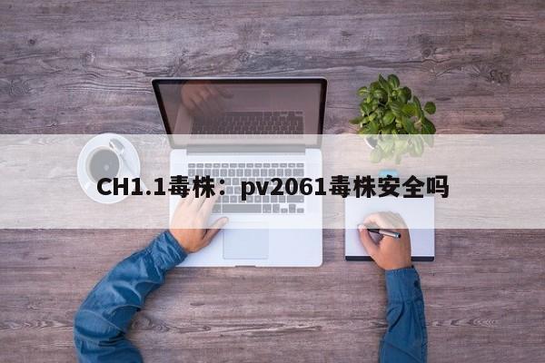 CH1.1毒株:pv2061毒株安全吗