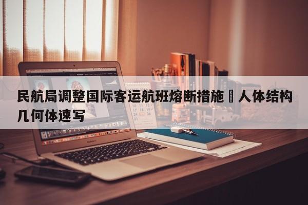 民航局调整国际客运航班熔断措施›人体结构几何体速写